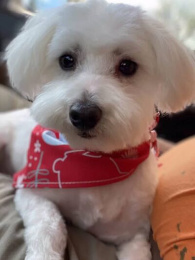 Countryside Barkyard - Winchester, IN