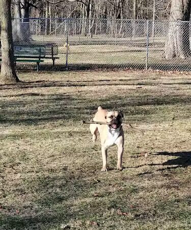 Goodrich Park - Winchester, IN