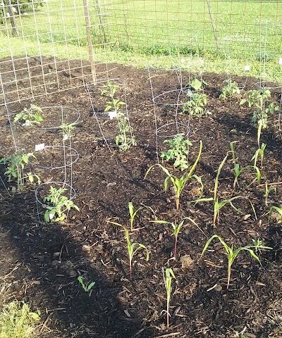 Winchester Park Director - Winchester, IN