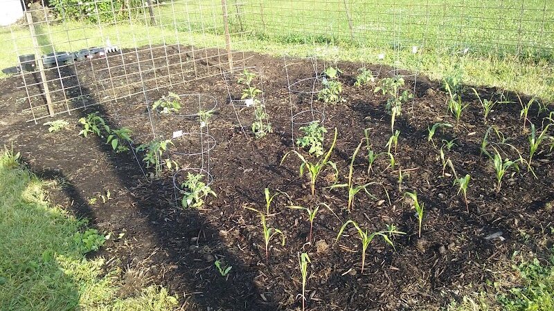 Winchester Park Director - Winchester, IN