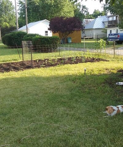 Winchester Park Director - Winchester, IN