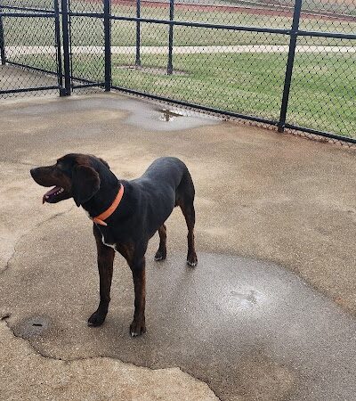 Victor-Lord Dog park - Winder, GA