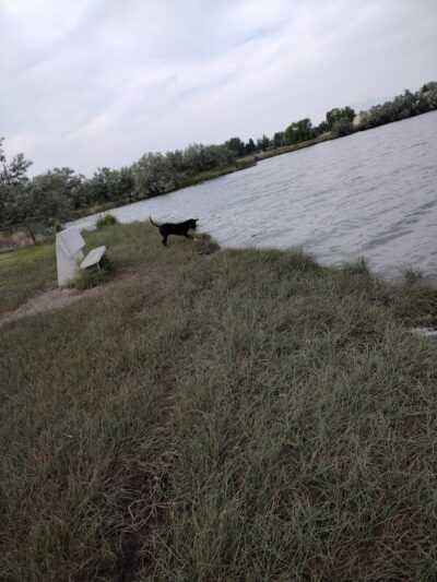 Victor-Lord Dog park - Winder, GA