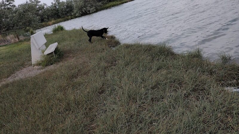 Victor-Lord Dog park - Winder, GA