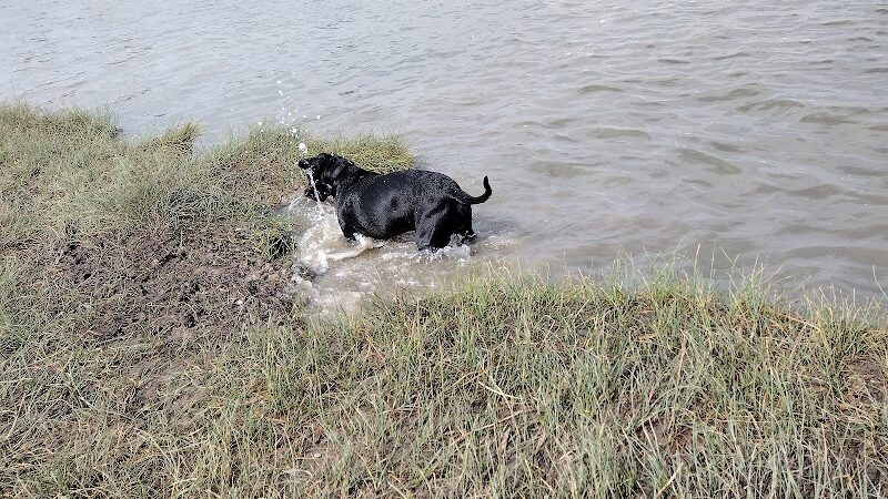 Victor-Lord Dog park - Winder, GA