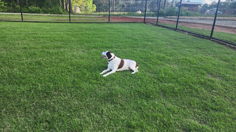 Victor-Lord Dog park - Winder, GA