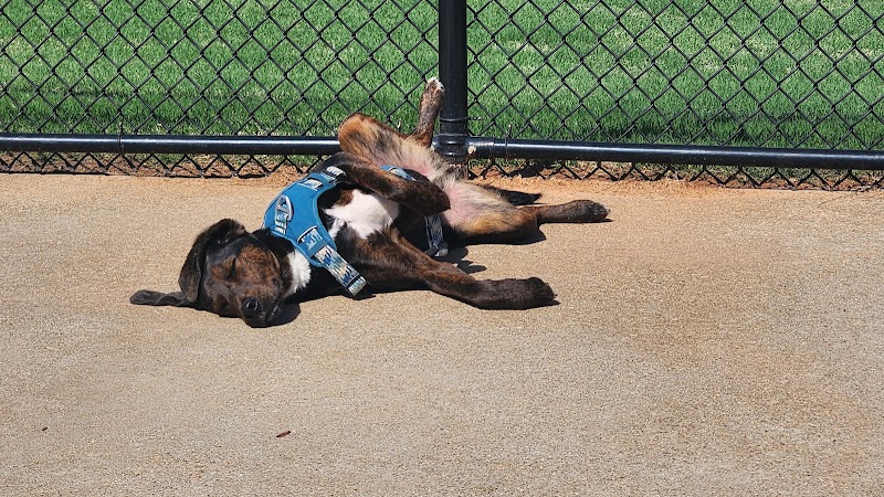Victor-Lord Dog park - Winder, GA