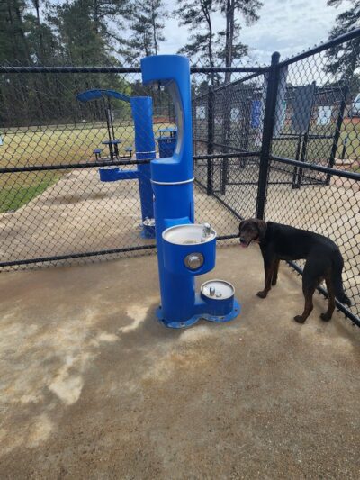 Victor-Lord Dog park - Winder, GA