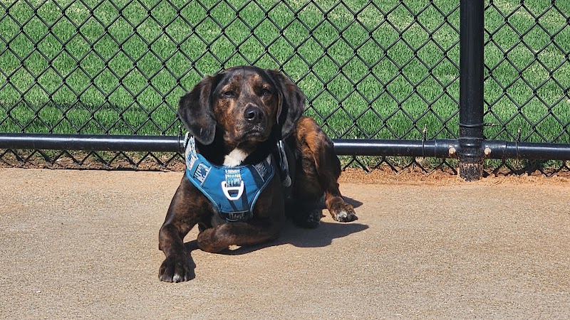 Victor-Lord Dog park - Winder, GA