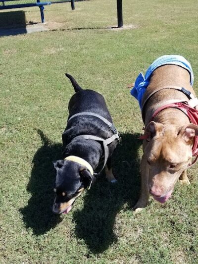 Victor-Lord Dog park - Winder, GA