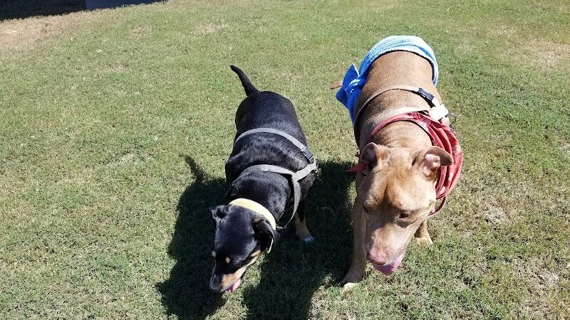 Victor-Lord Dog park - Winder, GA