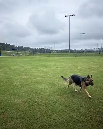 Victor-Lord Dog park - Winder, GA