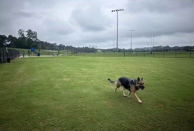 Victor-Lord Dog park - Winder, GA