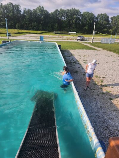 Duke's K9 Dash N' Splash - Windham, OH