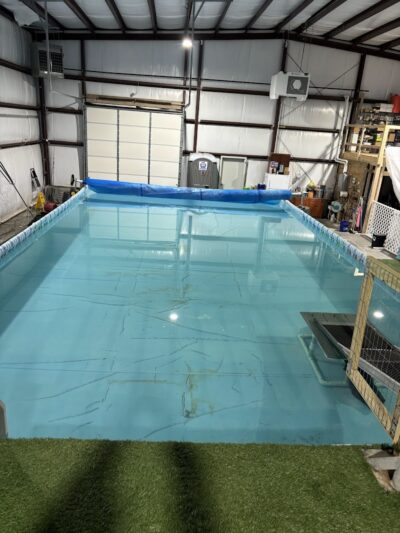 Duke's K9 Dash N' Splash - Windham, OH