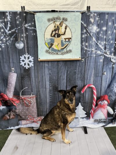 Duke's K9 Dash N' Splash - Windham, OH