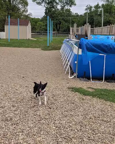 Duke's K9 Dash N' Splash - Windham, OH
