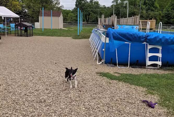 Duke's K9 Dash N' Splash - Windham, OH