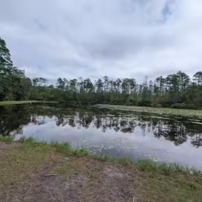 Aiken State Park - Windsor, SC