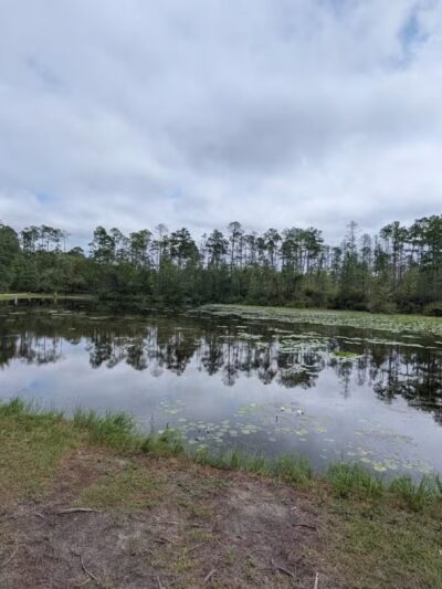 Aiken State Park - Windsor, SC