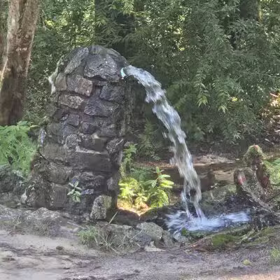 Aiken State Park - Windsor, SC