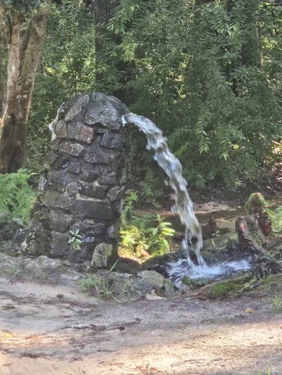 Aiken State Park - Windsor, SC