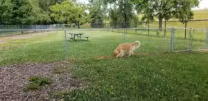 Windsor Heights Dog Park - Windsor Heights, IA