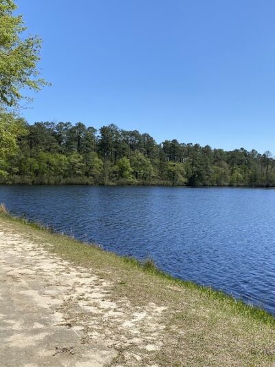 Aiken State Park - Windsor, SC