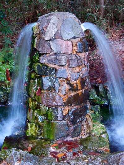 Aiken State Park - Windsor, SC