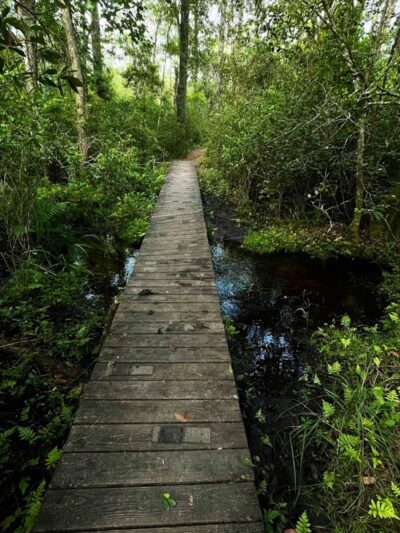 Aiken State Park - Windsor, SC