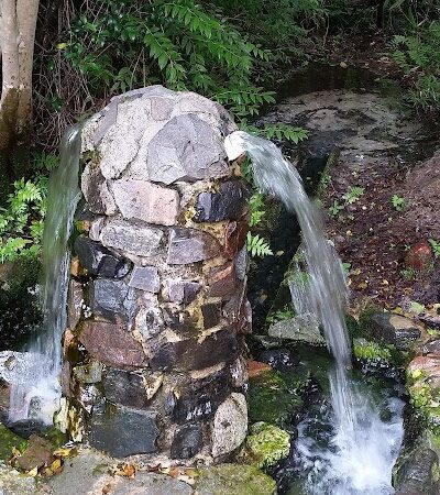 Aiken State Park - Windsor, SC