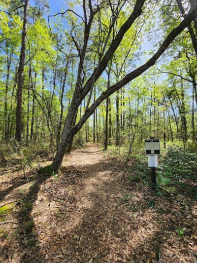 Aiken State Park - Windsor, SC
