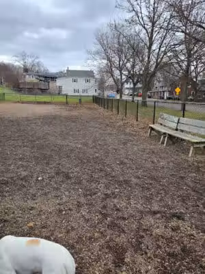 West Allen Park Dog Park - Winooski, VT