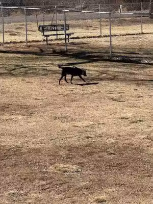 Winslow Bark Park - Winslow, AZ