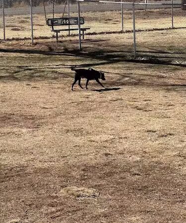 Winslow Bark Park - Winslow, AZ