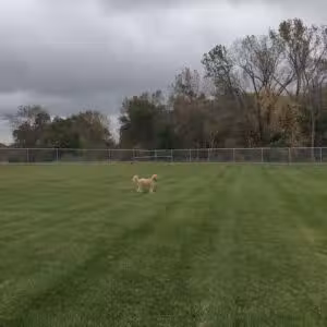 Winterset Dog Park - Winterset, IA