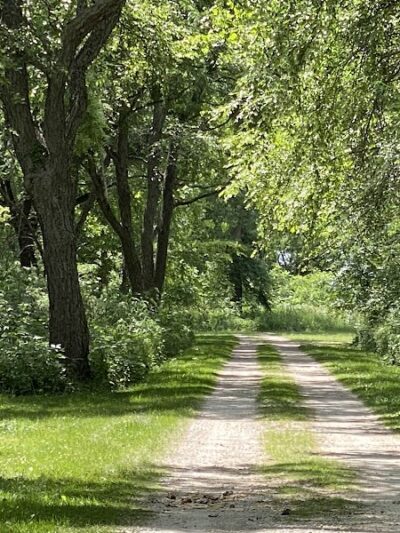 Buffalo Creek Area - Winthrop, IA