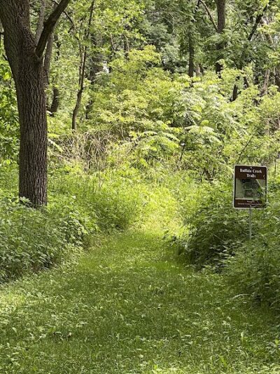 Buffalo Creek Area - Winthrop, IA