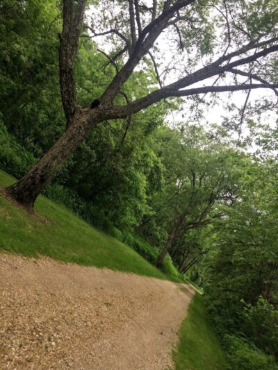 Buffalo Creek Area - Winthrop, IA