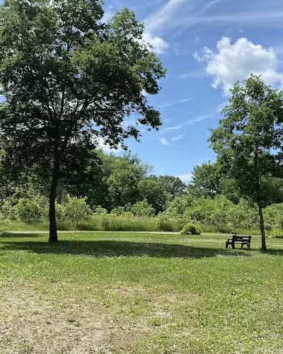 Buffalo Creek Area - Winthrop, IA