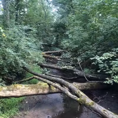 Lyon Oaks County Park - Wixom,