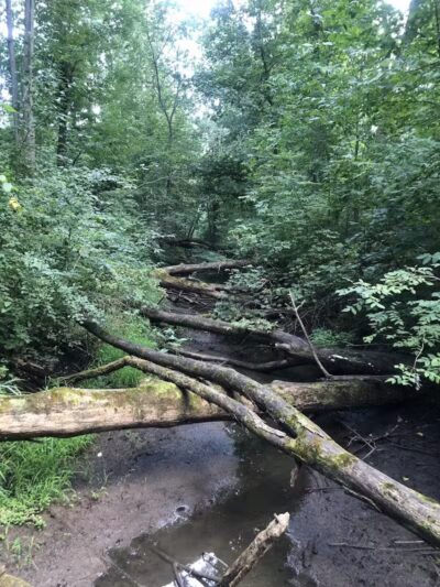 Lyon Oaks County Park - Wixom,