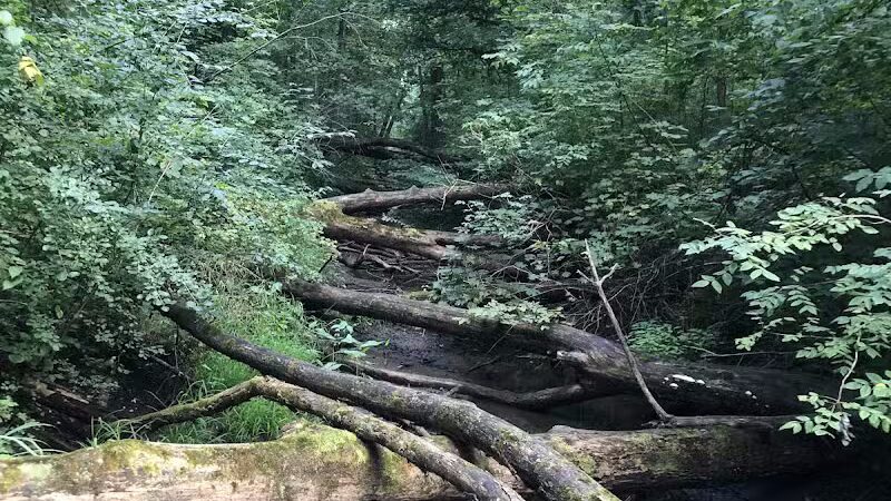 Lyon Oaks County Park - Wixom,