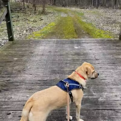 Lyon Oaks County Park - Wixom,