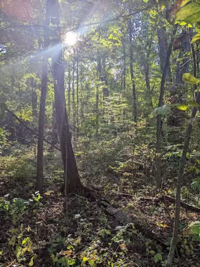 Lyon Oaks County Park - Wixom,