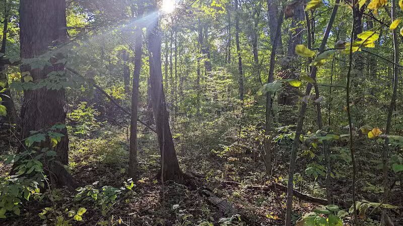 Lyon Oaks County Park - Wixom,