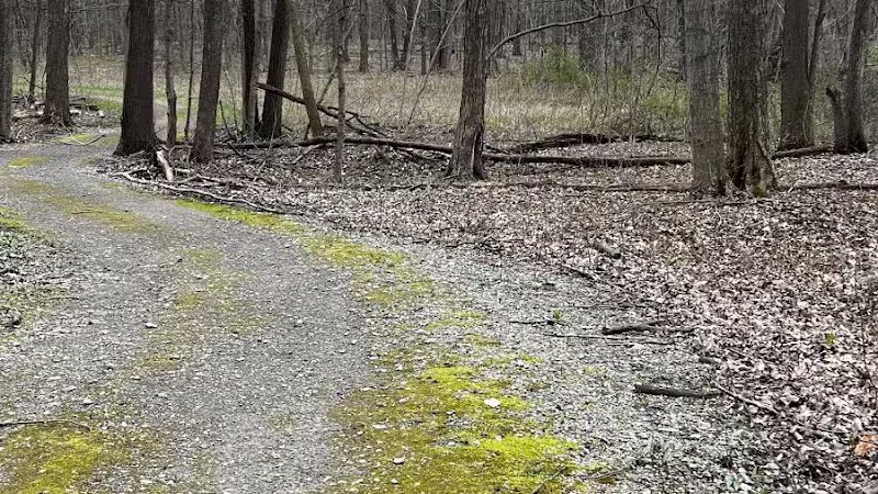 Lyon Oaks County Park - Wixom,