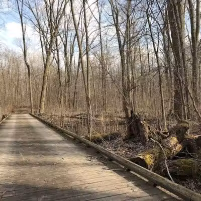 Lyon Oaks Dog Park - Wixom, MI