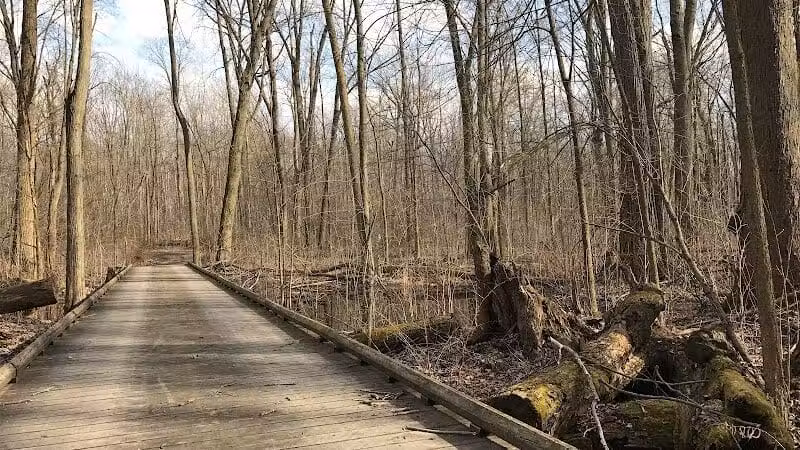 Lyon Oaks Dog Park - Wixom, MI