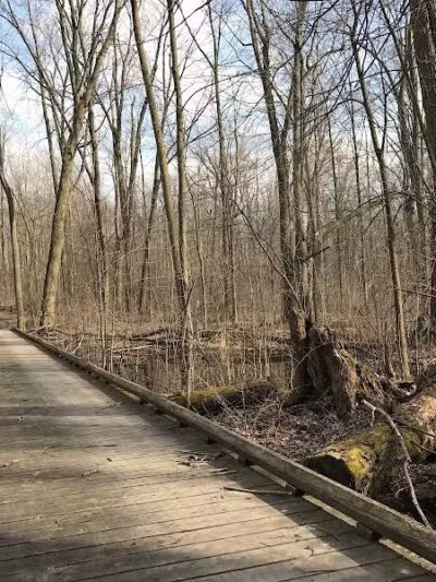 Lyon Oaks Dog Park - Wixom, MI